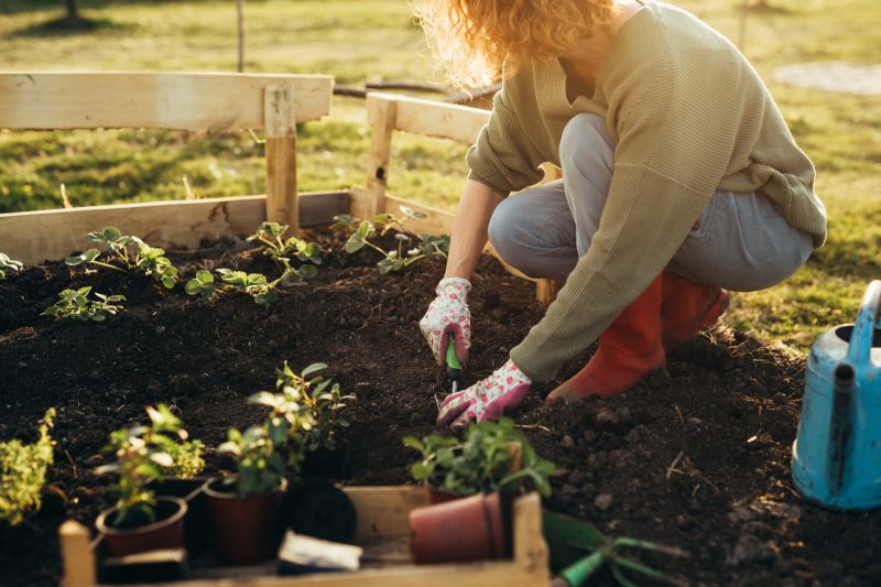 Bush Planting Service in Honolulu, HI